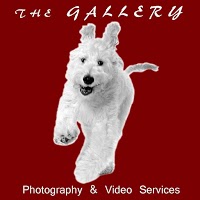 The Gallery Photography and Video Services 1065028 Image 2